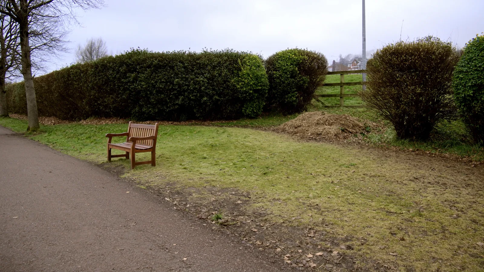 Environmental Volunteering in Pontefract: Litter Picking, Clearance and Access Improvement