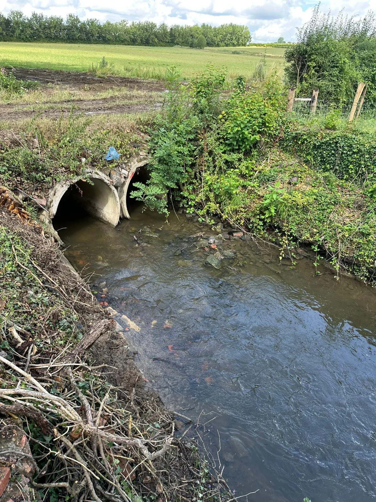 Barnsdale Culvert Access Bridge — site photograph