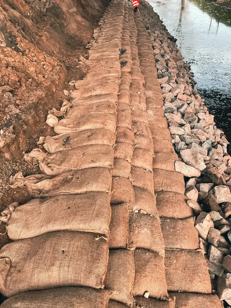 A46, Old Decoy Main Drain — site photograph