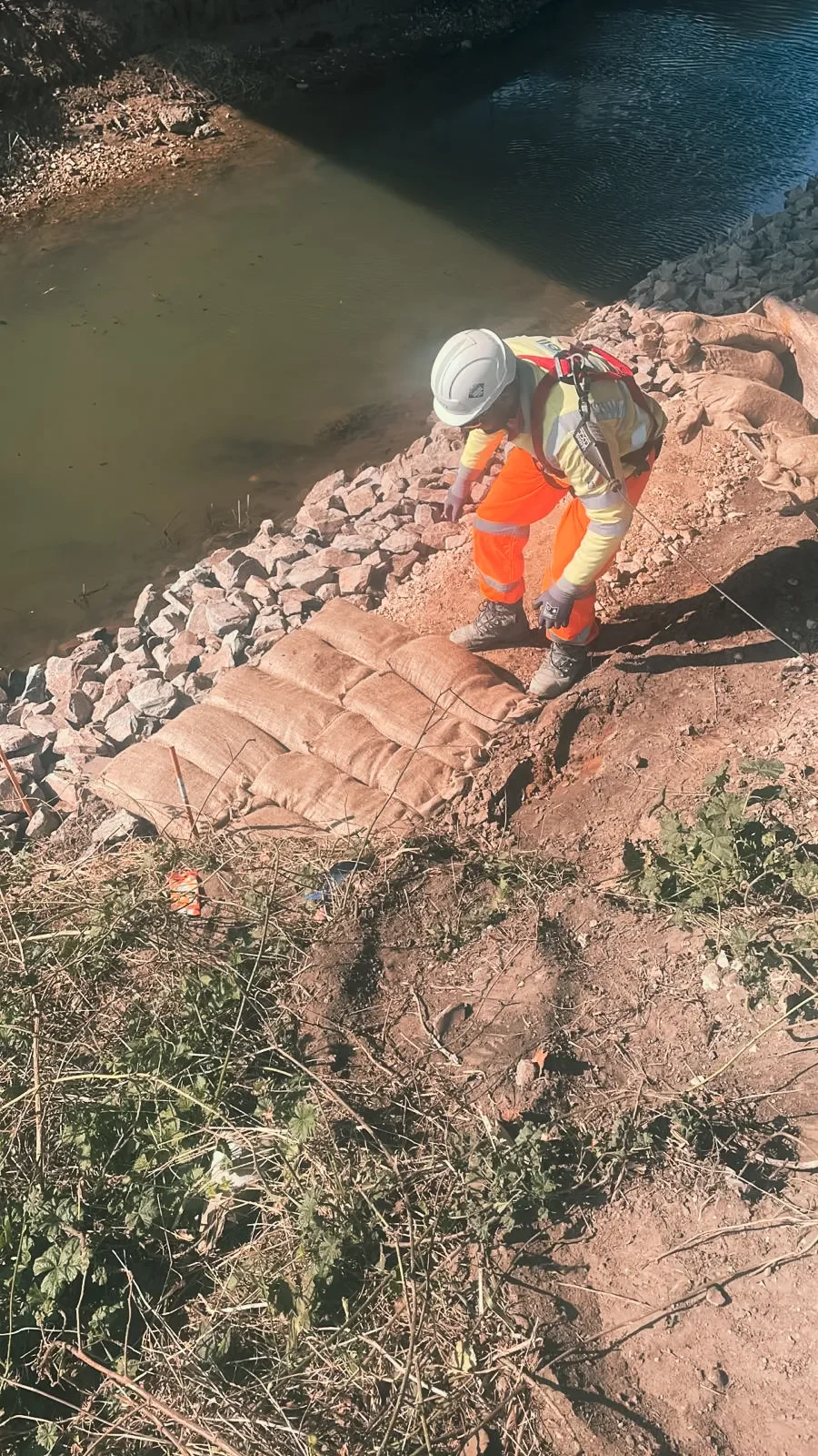 A46, Old Decoy Main Drain — site photograph